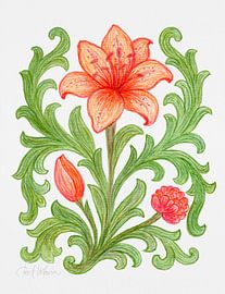 Lys de l'aube sur Piret Victoria Ribas Art & Photography