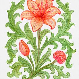 Lys de l'aube sur Piret Victoria Ribas Art & Photography