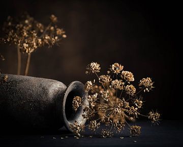 Dried flowers, dried hogweed with lying vase.