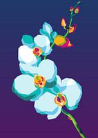 Abstract Orchid Flower Illustration