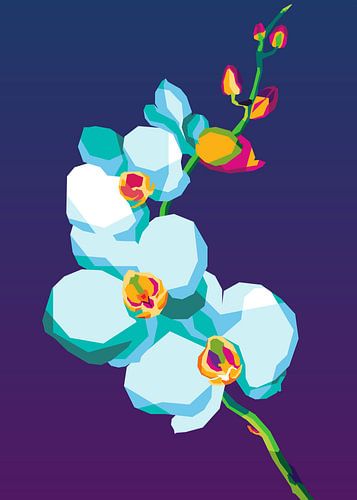 Abstract Orchid Flower Illustration