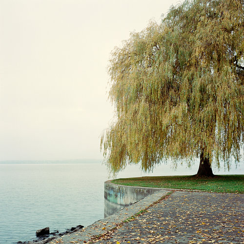 Meersburg aan het Bodenmeer – Een herfstochtend