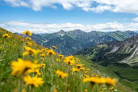 Flowery view of Hinterstein and the Allgäu Alps by Leo Schindzielorz