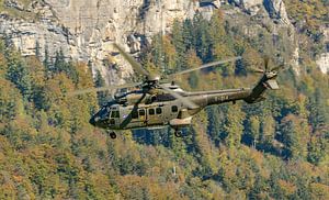 Schweizer Aerospatiale AS332M1 Super Puma (T-314).
