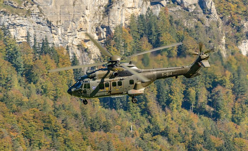 Zwitserse Eurocopter AS 532UL Cougar (T-314). van Jaap van den Berg