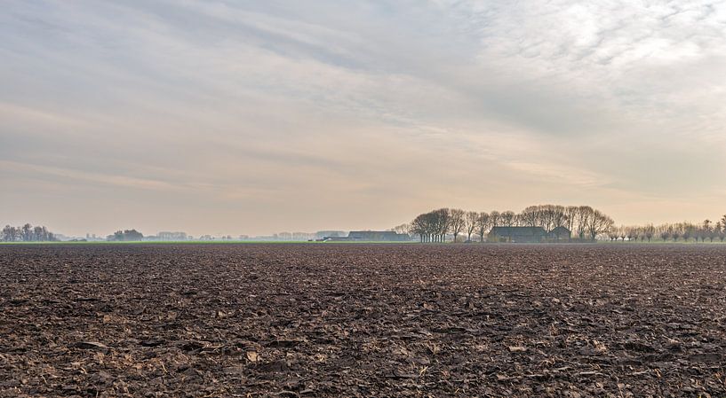 Gepflügtes Feld mit Bauernhaus, Hooge Zwaluwe von Ruud Morijn