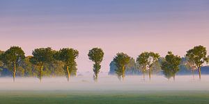 Sonnenaufgang mit Morgennebel von Henk Meijer Photography