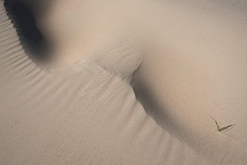 Naakt zand van Leendert Noordzij Photography