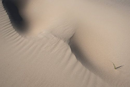 Naakt zand