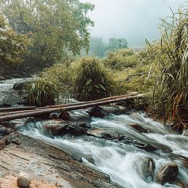 Grüne Ströme III von Insolitus Fotografie