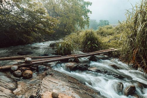 Verdant Currents III