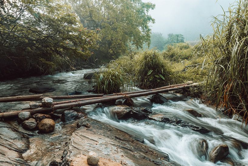 Grüne Ströme III von Insolitus Fotografie