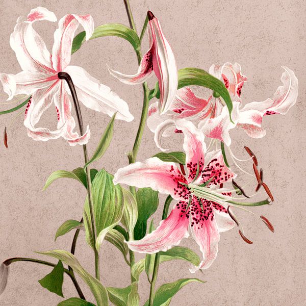 Lelies Bloemen in Trend Beige van Mad Dog Art