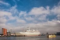 Die SS Rotterdam von Pieter van Roijen Miniaturansicht