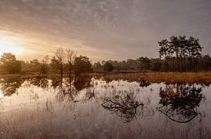 Sonnenaufgang über der Heide und den Wäldern von Den Treek