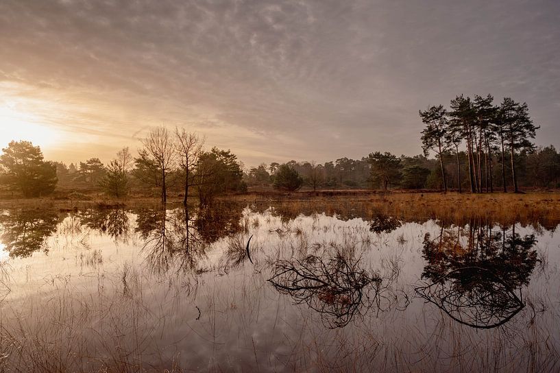 Sunrise over the heath and woods of Den Treek by Henk Boerman