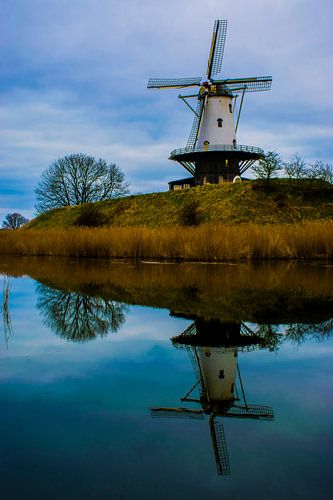 De Koe by Thom Brouwer