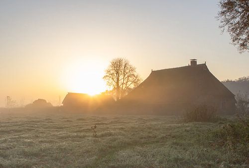 Boerderij in de mist.