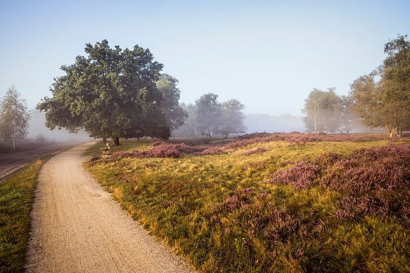 Sunrise on the Strabrechtse Heide by Rob Boon