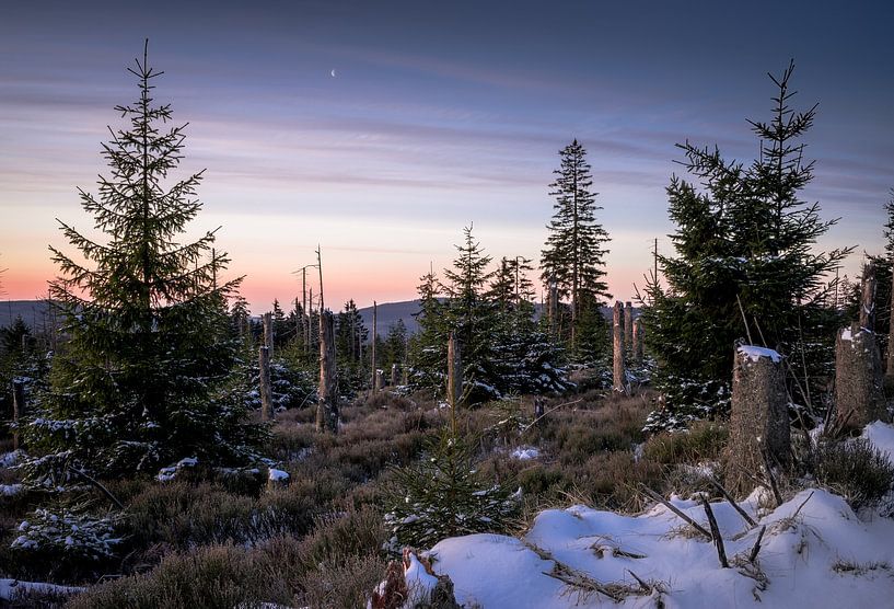 Le long du canal de Clausthal par Steffen Henze