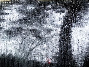 Urban Reflections 45