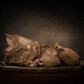 Uitgelopen van Iris van Heusden