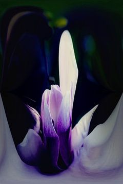 Magnolienblüte - abstrakt in violett von Christine Nöhmeier