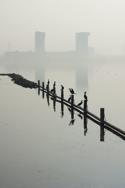 Zevenhuizerplas,  Rotterdam Nesselande von Michel van Kooten