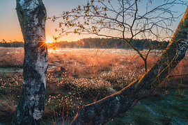 Moordämmerung von Pure Moments Photographie
