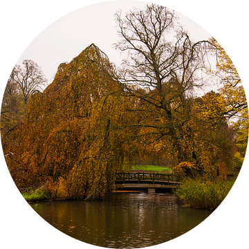 Herfst bij Kasteel Haarzuilens