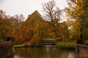 Herfst bij Kasteel Haarzuilens van Beeldspraak