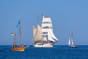 Segelschiffe auf der Ostsee während der Hanse Sail in Rostock