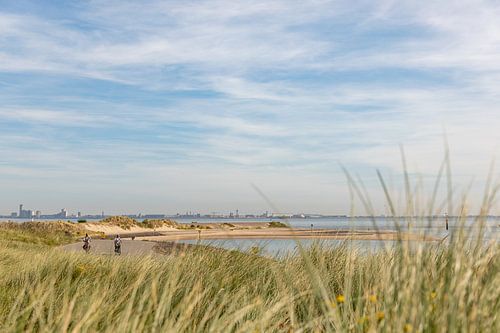 Fietsers langs de Westerschelde