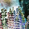 MAGICAL LUPINS no3-Q by Pia Schneider