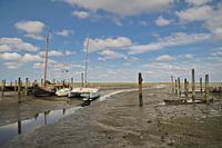 Droog gevallen wad.