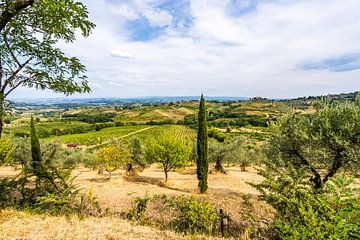Sunny Tuscan Landscape by Dafne Vos