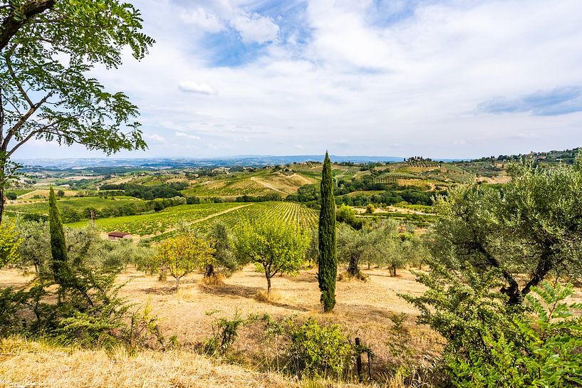 Paysage toscan ensoleillé par Dafne Vos