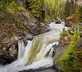 Wasserfall, Alaska von Rietje Bulthuis