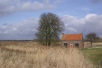 brabanste biesbosch
