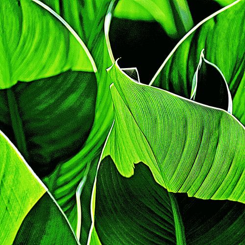 green lilies leaves mixed media