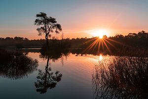 Zonsopkomst bij het Voorste Goorven in Oisterwijk. van Els Oomis