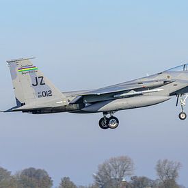 Bayou Militia McDonnell Douglas F-15C Eagle. von Jaap van den Berg