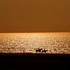 Goldener Abend an der Nordsee von Blond Beeld