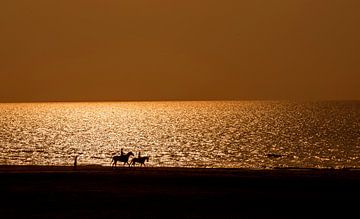 Gouden avond aan de Noordzee van Blond Beeld