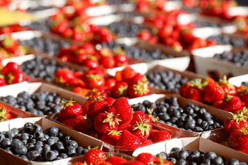 Frische Erdbeeren und Heidelbeeren in Schalen