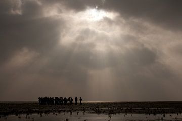 Wadlopen van Meindert van Dijk