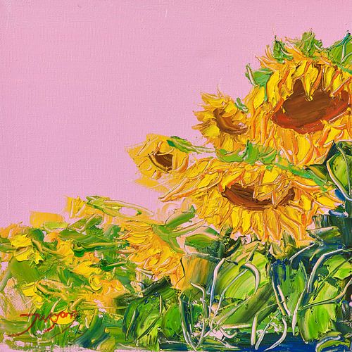 Tournesols