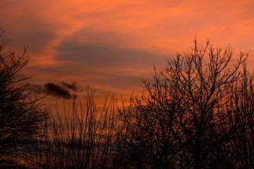 Een zonsopkomst met een oranje gloed in het gouden uurtje