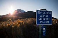 Tongariro Alpine Crossing, New Zealand