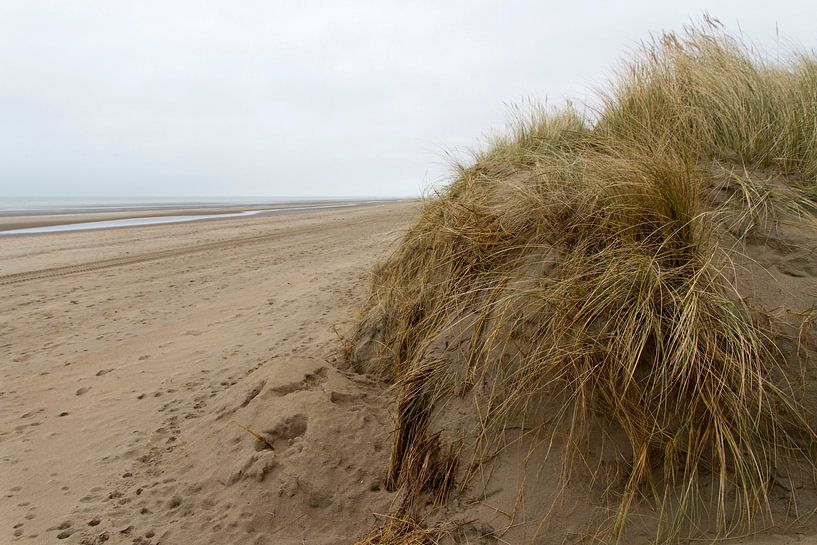 Strand by Edward fotografie
